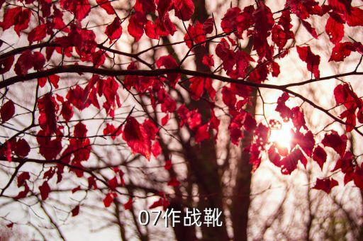 警裤怎么穿07作战靴，本人军迷从部队整了很多军用品特别喜欢军靴有两双07黑色
