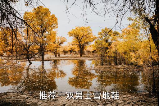 推荐一双男士雪地鞋