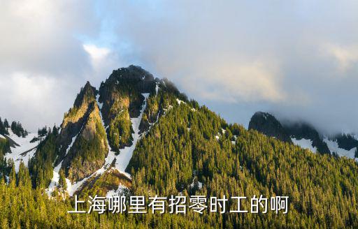 上海哪里招聘小时工，上海哪里有招零时工的啊