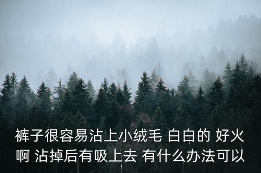 裤子很容易沾上小绒毛 白白的 好火啊 沾掉后有吸上去 有什么办法可以