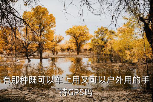 有那种既可以车上用又可以户外用的手持GPS吗