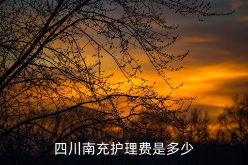 南充月嫂多少钱一个月，四川南充护理费是多少