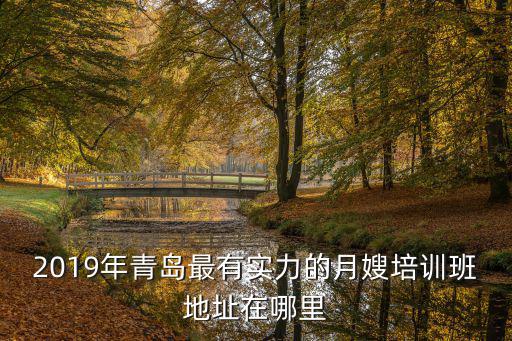 2019年青岛最有实力的月嫂培训班地址在哪里