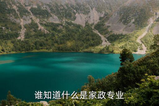 什么是家政服务行业协会，家政服务行业的定义