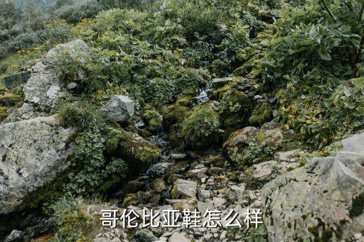 哥伦比亚鞋怎么样