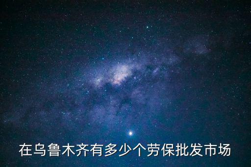 乌鲁木齐保姆有多少家，乌鲁木齐市有几家保安公司