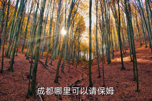 成都哪里可以请保姆