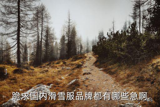 滑雪装备什么牌子的好，滑雪大冒险到底什么套装好