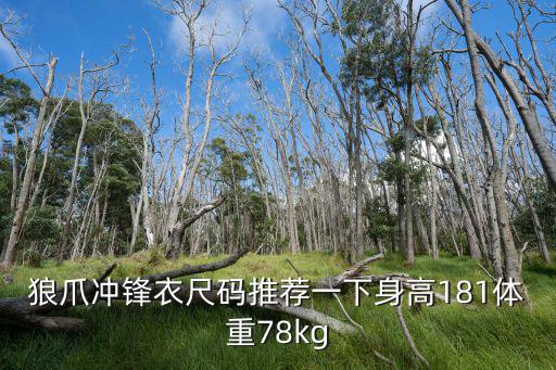 狼爪冲锋衣尺码推荐一下身高181体重78kg