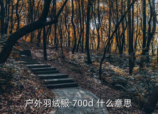 700羽绒是什么意思，羽绒服down700是什么意思