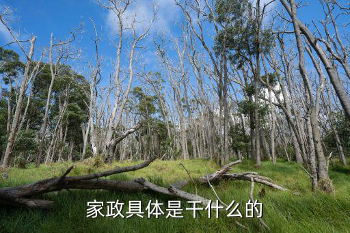 家政具体是干什么的