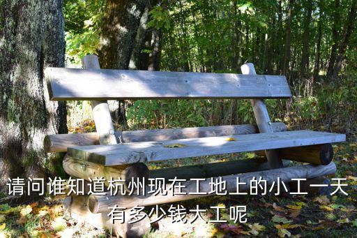 请问谁知道杭州现在工地上的小工一天有多少钱大工呢