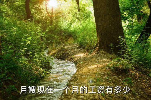 青岛月嫂 保姆一月能挣多少钱，现在月嫂一个月能挣多少钱