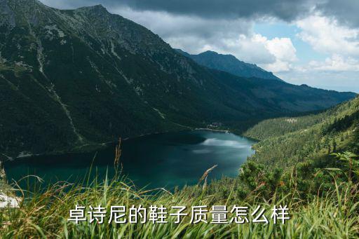 卓诗尼的鞋子质量怎么样