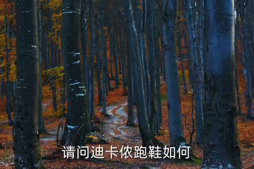 请问迪卡侬跑鞋如何