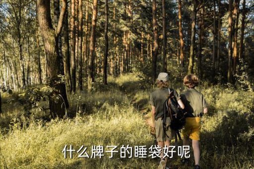抓绒睡袋什么牌子好，什么牌子的睡袋较好