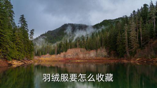 羽绒服要怎么收藏