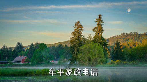 牟平哪里有家政，牟平哪里有做街门的