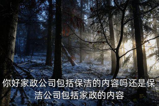 你好家政公司包括保洁的内容吗还是保洁公司包括家政的内容