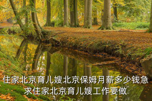 北京做保姆工资多少钱一个月，北京保姆的工资是多少