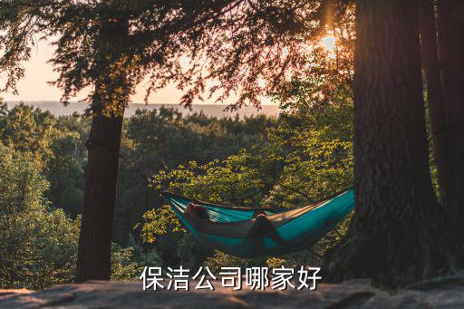 保洁公司哪家好