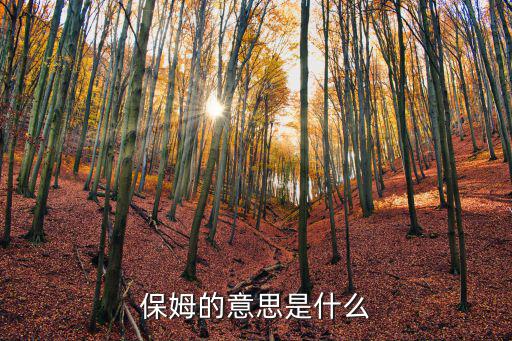 保姆的意思是什么