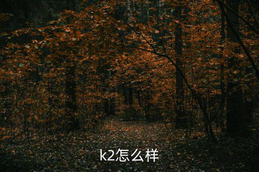 k2怎么样