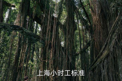 2014年上海钟点工多少钱一小时，2014上海市钟点工多少钱每小时