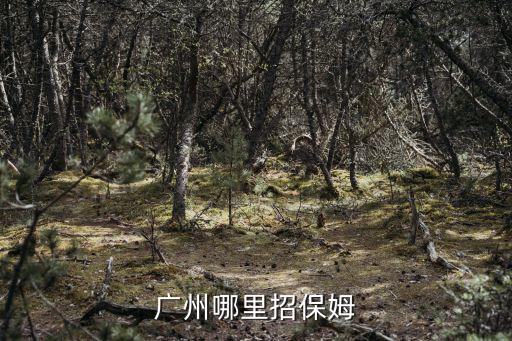 广州哪里招保姆