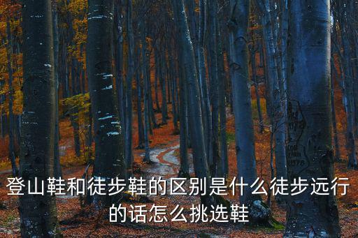 登山鞋和徒步鞋有什么区别，登山鞋和徒步鞋的区别在哪