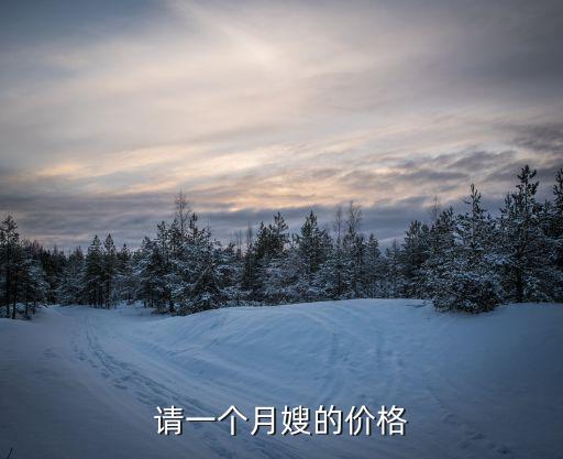 请一个月嫂的价格