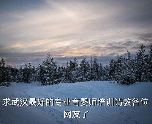 求武汉最好的专业育婴师培训请教各位网友了