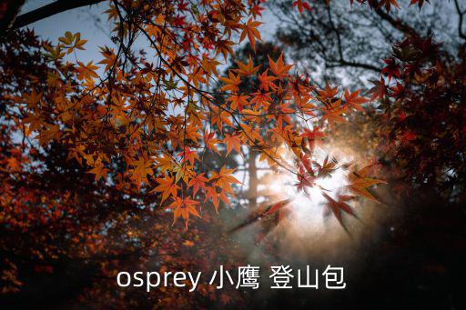 小鹰背包登山杖怎么挂，关于鸟包SPEAR 25背小包怎么放登山杖