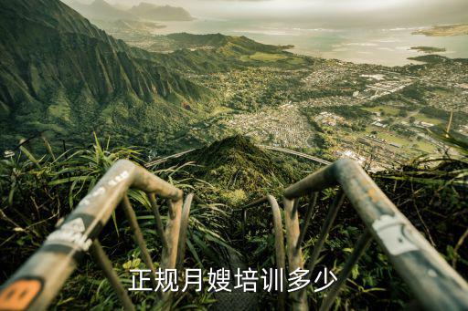 上海月嫂培训班多少钱，想去上海做月嫂问了几家培训公司培训费都一样但有的说活不多