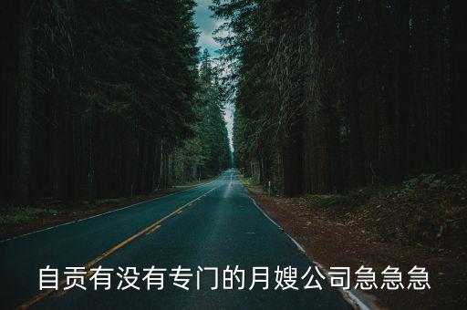 自贡有没有专门的月嫂公司急急急