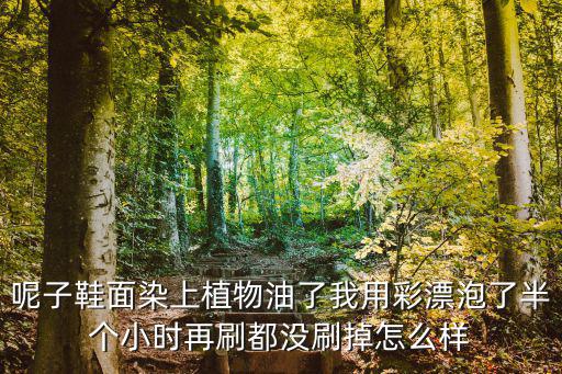 呢子鞋面染上植物油了我用彩漂泡了半个小时再刷都没刷掉怎么样