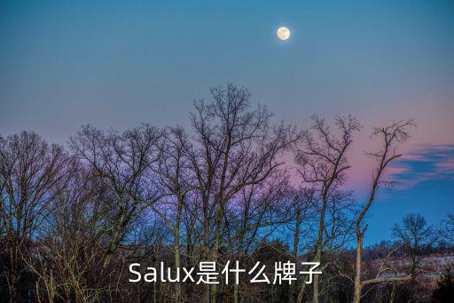 Salux是什么牌子