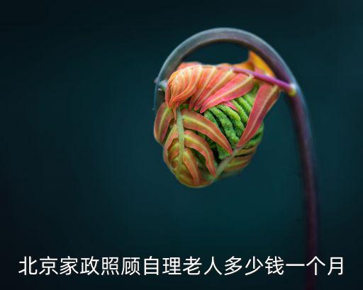 北京家政照顾自理老人多少钱一个月