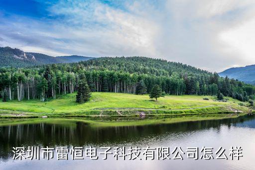 深圳市雷恒电子科技有限公司怎么样