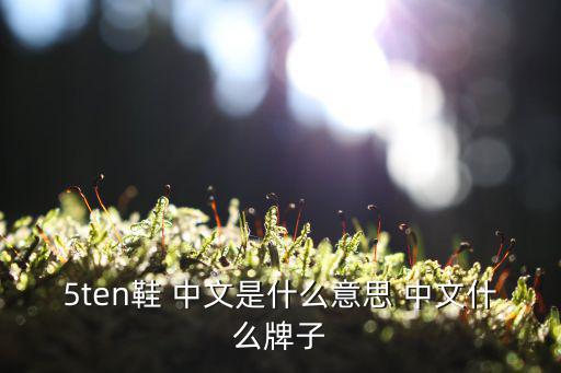 5ten鞋 中文是什么意思 中文什么牌子