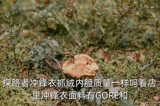 探路者冲锋衣抓绒内胆质量一样吗看店里冲锋衣面料有GORE和