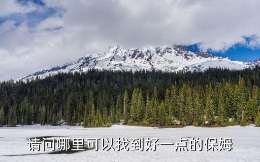 请问哪里可以找到好一点的保姆