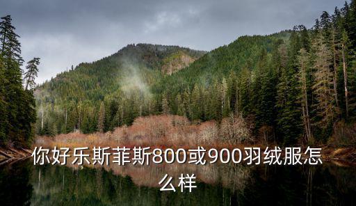 乐斯菲斯c971怎么样，乐斯菲斯的巅峰系列怎么样