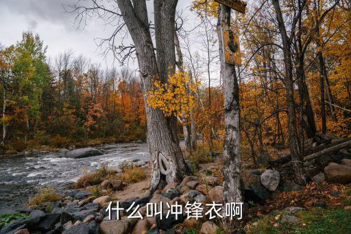 什么叫冲锋衣啊