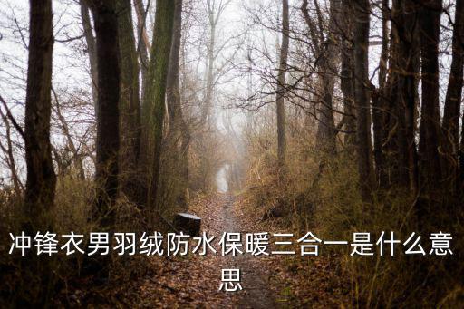 冲锋衣男羽绒防水保暖三合一是什么意思