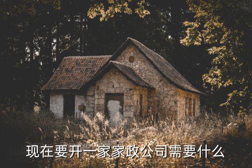 现在要开一家家政公司需要什么
