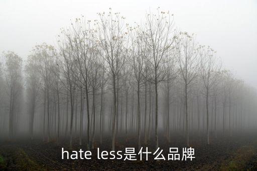 hate less是什么品牌