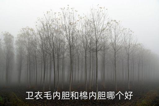 卫衣毛内胆和棉内胆哪个好