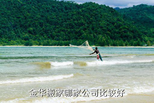 金华搬家哪家公司比较好