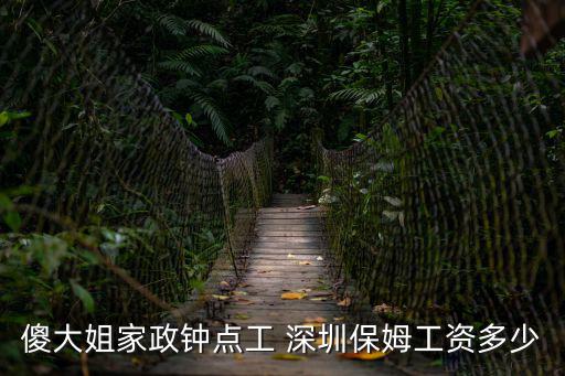傻大姐家政钟点工 深圳保姆工资多少